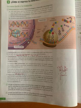 Biología y Geología. 4 Secundaria. Revuela