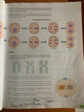 Biología y Geología. 4 Secundaria. Revuela