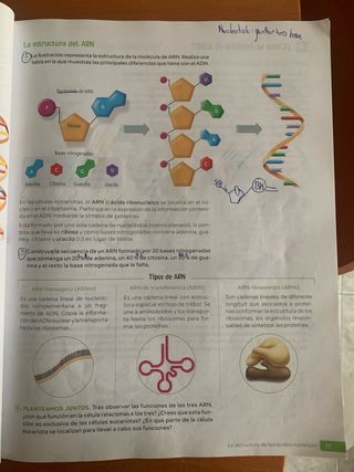 Biología y Geología. 4 Secundaria. Revuela
