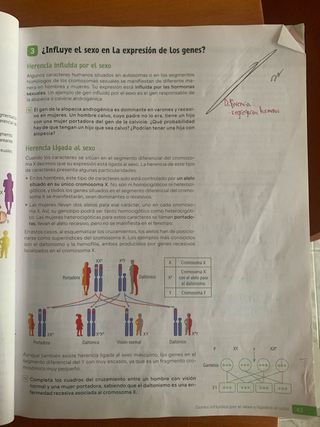 Biología y Geología. 4 Secundaria. Revuela