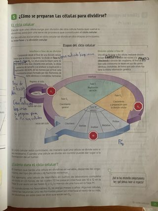 Biología y Geología. 4 Secundaria. Revuela