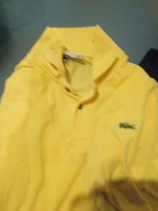 Polo Lacoste Amarillo XL