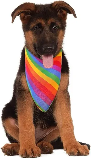 6 Pañuelos arcoíris Bandana Orgullo LGBTQ+