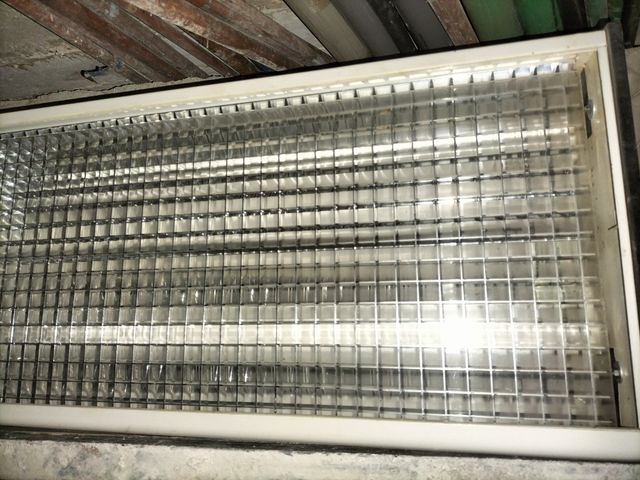 Luminaria fluorescente dental