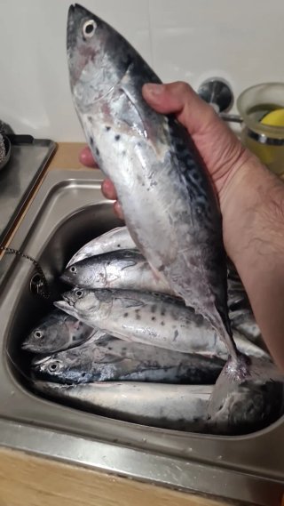 SEÑUELOS PESCA SEAPROSPARK 6cm  (BACORETA, LUBINA)