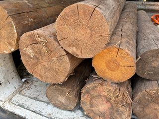 Madera Pino Rústico