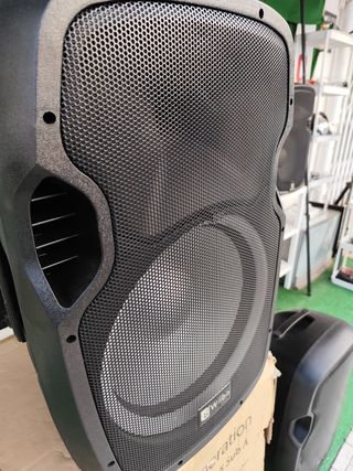 Altavoz Wibo 300W - Subwoofer PL12