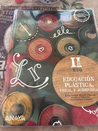 Educación Plástica Visual y Audiovisual. Nivel II