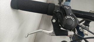 Bicicleta montaña Globetrotter