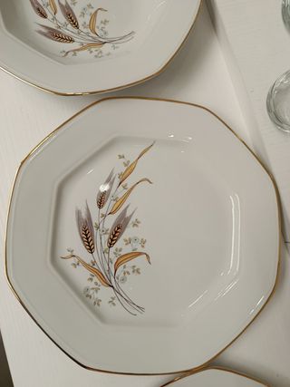 Set piatti Tognana oro bianco