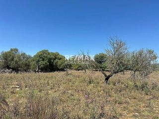 Terreno en venta en Sant Llorenç des Cardassar