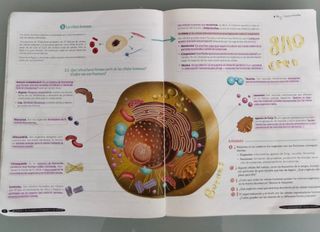 Biología y Geología 3º ESO. Libro del estudiant...
