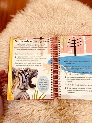 El perfecto manual para chicas: ¡Todo lo que un...