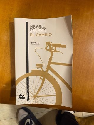 El Camino de Miguel Delibes