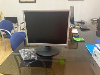 Monitor LG Flatron L1942PM - Plata