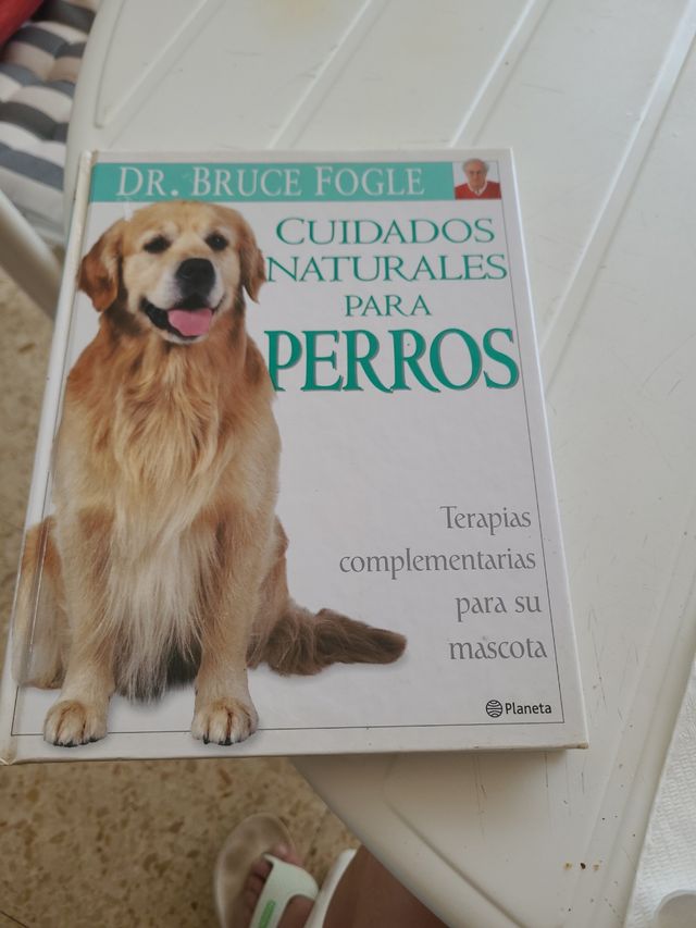 Ciudados naturales para perros