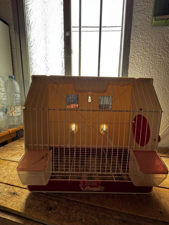 Incubadora y jaula canarios