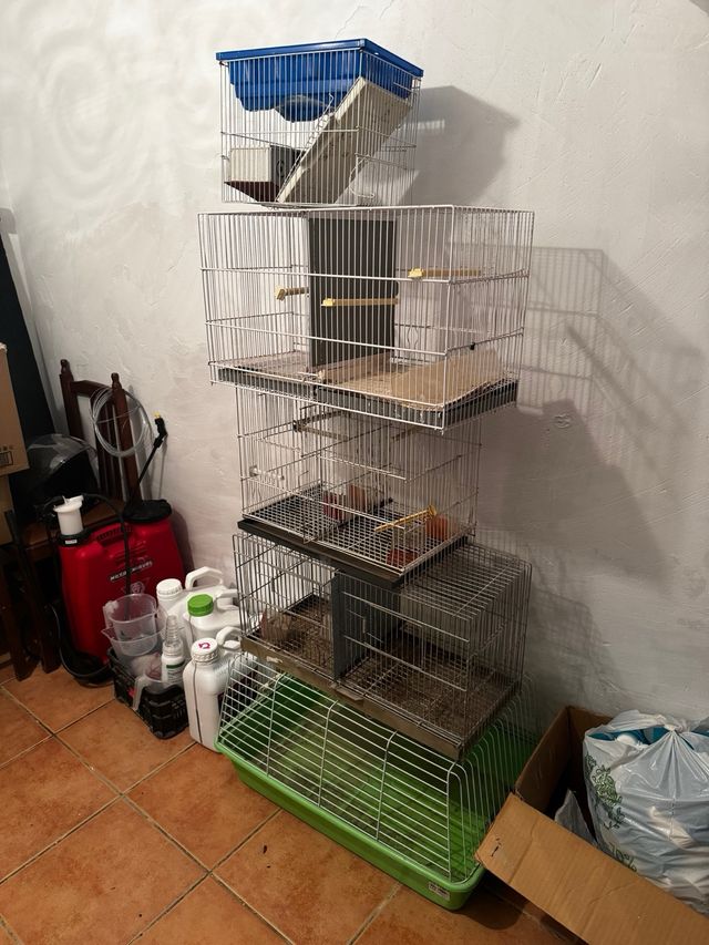 Incubadora y jaula canarios