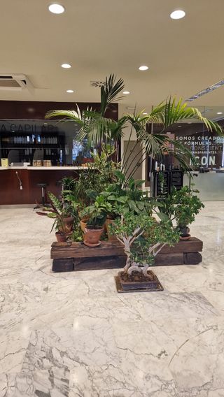 Oficina - Local en alquiler