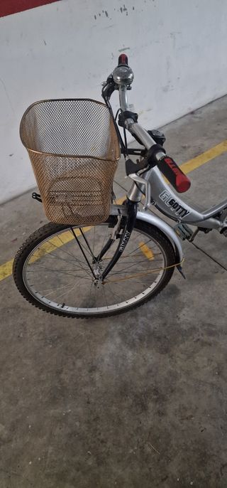 Bicicleta Gotty urbana