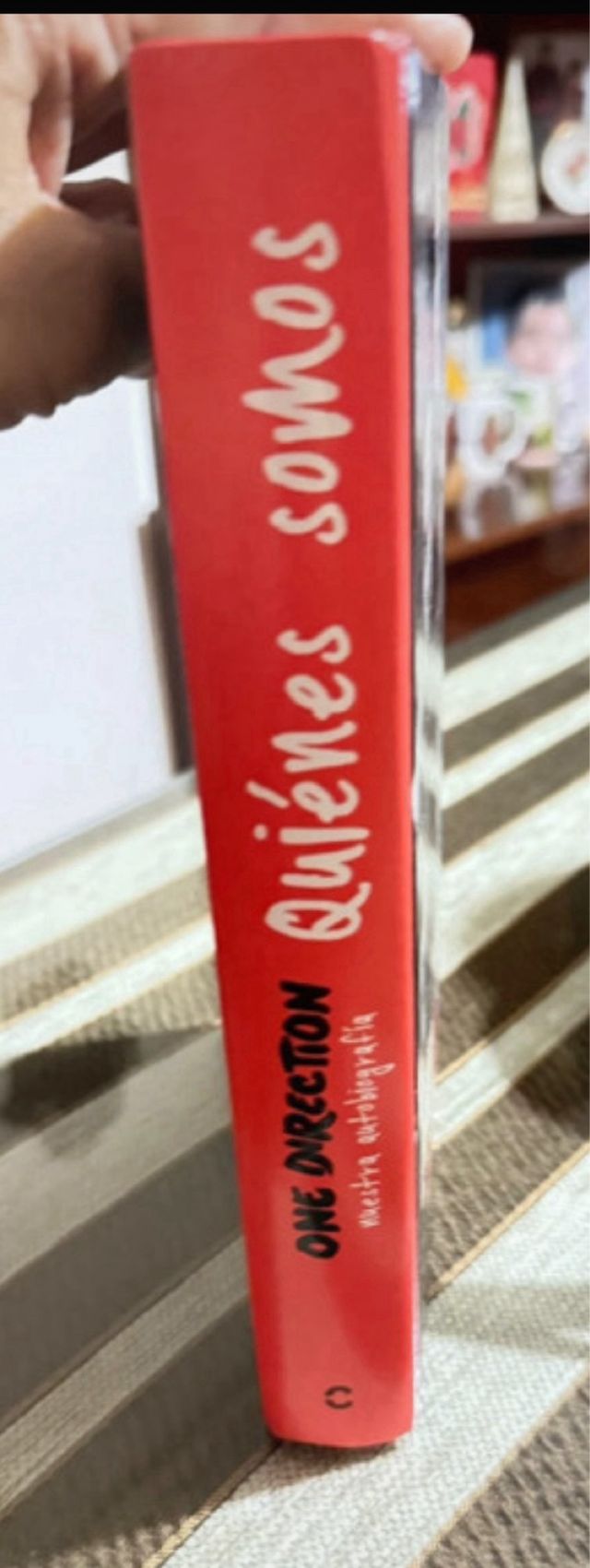 Libro One Direction: Quiénes Somos