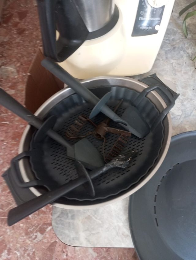 Thermomix TM21 - Ocasión