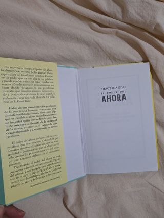 PRACTICANDO EL PODER DEL AHORA: ENSEÑANZAS, MED...