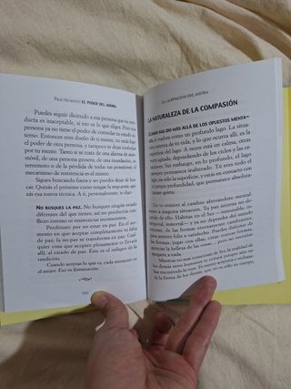 PRACTICANDO EL PODER DEL AHORA: ENSEÑANZAS, MED...