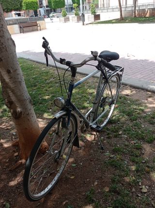 Bicicleta Gazelle clásica vintage