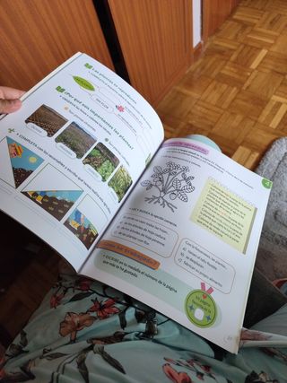 Libro de ciencias de la naturaleza 2 de primaria 