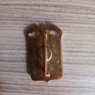 Pin insignia Lourdes Valencia