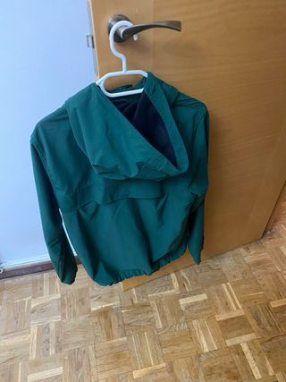 Chaqueta Carhartt verde
