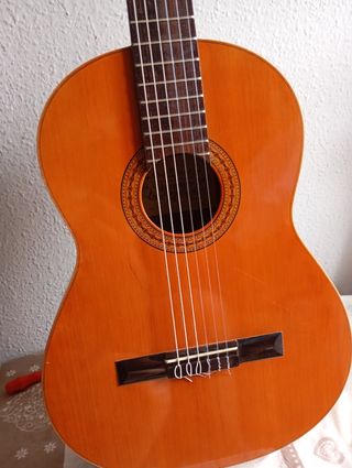 Guitarra clásica Raimundo