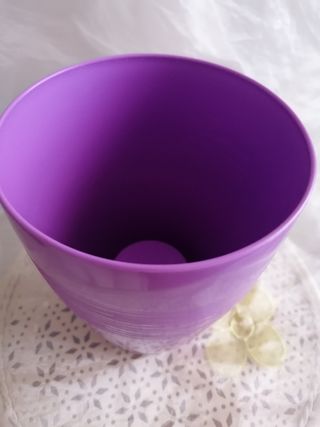 Portavaso lilla in plastica