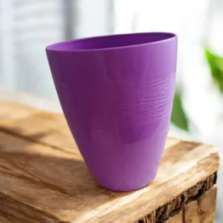 Portavaso lilla in plastica