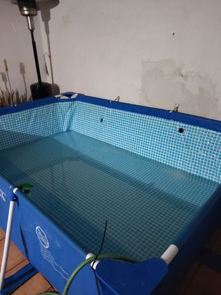 Piscina Intex - Piscina infantil