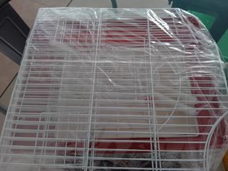 Jaula pajaros - Jaula para pájaros