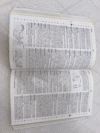 Diccionario Didactico De Español Basico