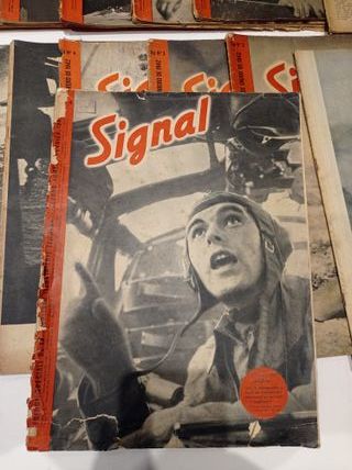 Revistas SIGNAL