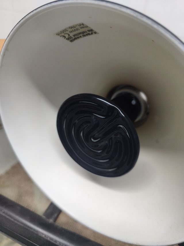 Equipo iluminación terrario desértico