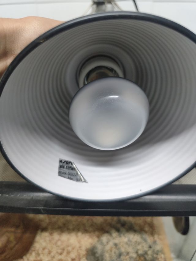 Equipo iluminación terrario desértico