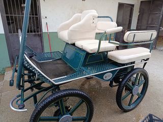 Carro maratón 6 plazas