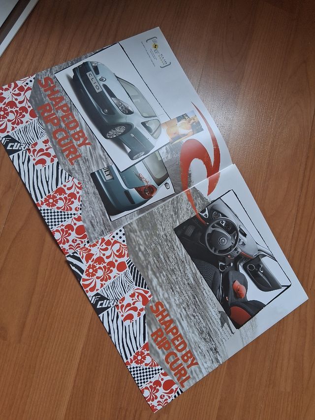 Panfletos Renault Clio