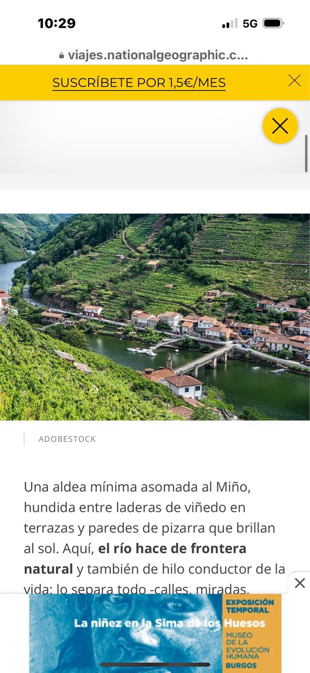 Bodega Ribeiro Sacra, Chantada 610056774