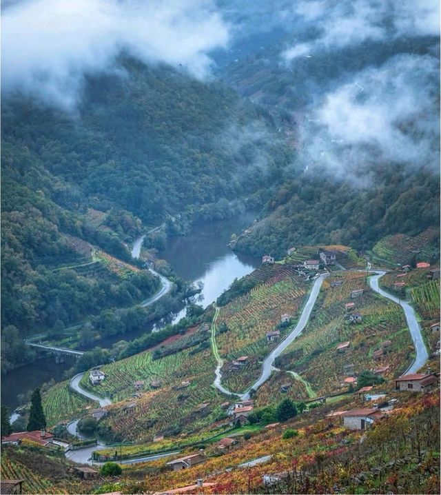 Bodega Ribeiro Sacra, Chantada 610056774