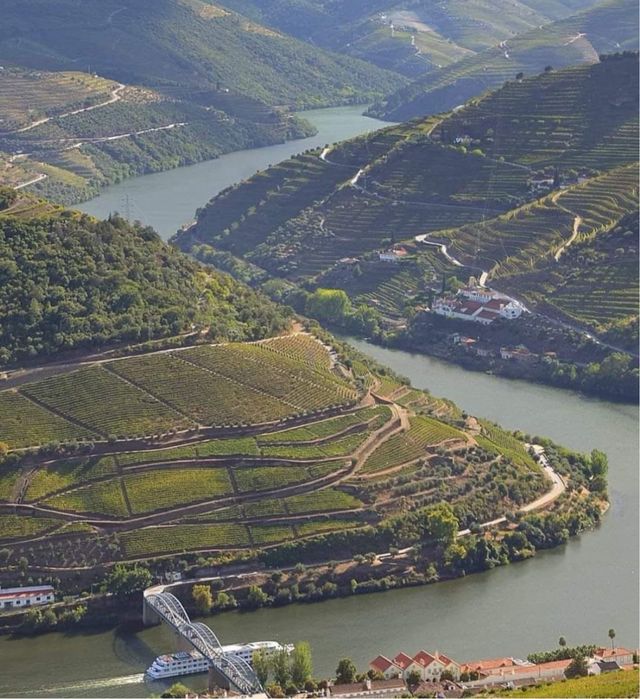 Bodega Ribeiro Sacra, Chantada 610056774