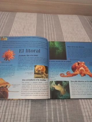 Bajo el mar (Exploradores en 3d) (Spanish Edition)