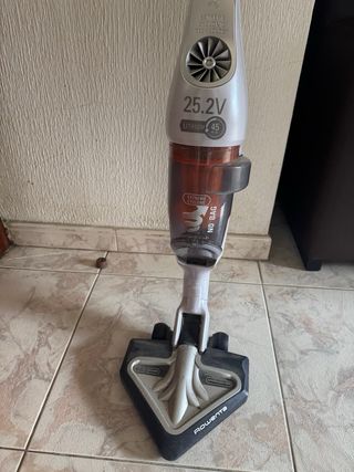 Aspiradora Rowenta Air Force Extreme