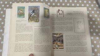 Las Maravillas del Universo - Álbum Nestlé