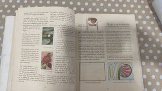 Las Maravillas del Universo - Álbum Nestlé